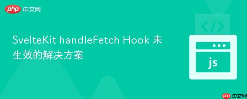 sveltekit handlefetch hook 未生效的解决方案