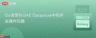 Go语言在GAE Datastore中的并发操作实践