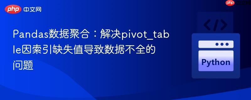 Pandas数据聚合：解决pivot_table因索引缺失值导致数据不全的问题

