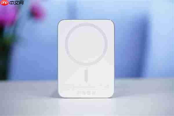 299元的小米金沙江磁吸充电宝卖断货:闲鱼加价到400多