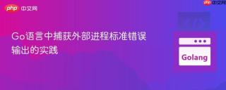 Go语言中捕获外部进程标准错误输出的实践