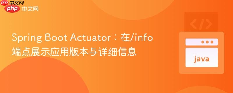 spring boot actuator:在/info端点展示应用版本与详细信息