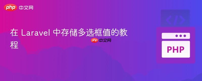 在 Laravel 中存储多选框值的教程
