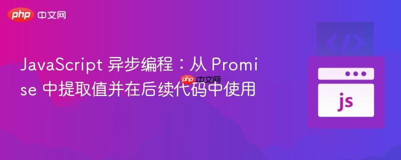 javascript 异步编程:从 promise 中提取值并在后续代码中使用