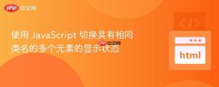 使用 JavaScript 切换具有相同类名的多个元素的显示状态