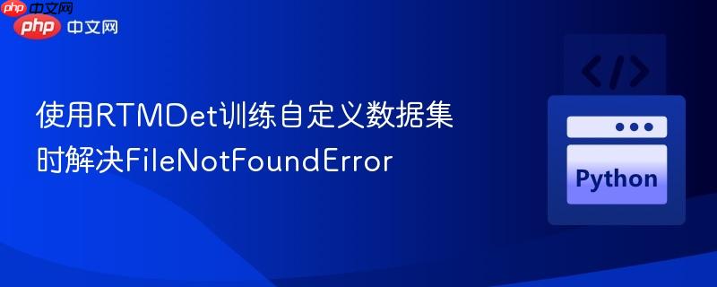 使用RTMDet训练自定义数据集时解决FileNotFoundError