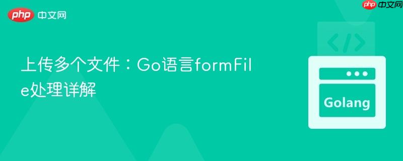 上传多个文件:go语言formfile处理详解