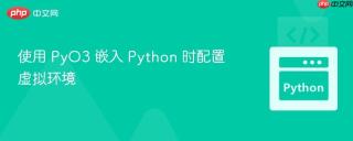 使用 PyO3 嵌入 Python 时配置虚拟环境