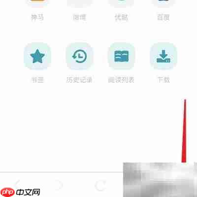 清理Dark Browser的Cookie方法