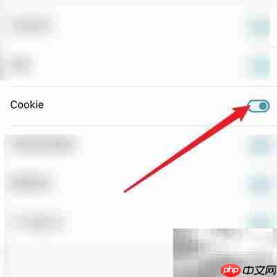 清理Dark Browser的Cookie方法