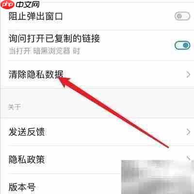 清理Dark Browser的Cookie方法