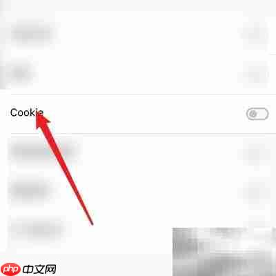 清理Dark Browser的Cookie方法