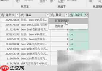 Excel数据按次数复制多行