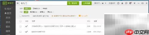 爱奇艺QSV转换器V3.1有效