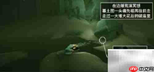 光遇2.10每日任务速通攻略