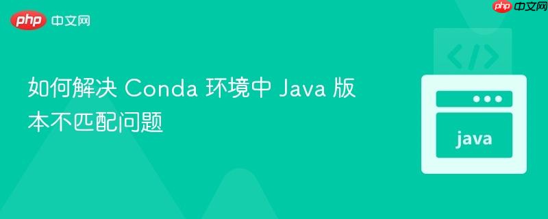 如何解决 conda 环境中 java 版本不匹配问题