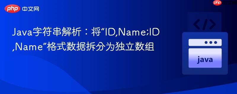 Java字符串解析：将“ID,Name;ID,Name”格式数据拆分为独立数组