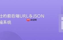 构建健壮的前后端URL与JSON数据传输系统