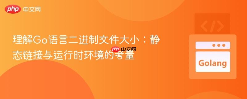 理解Go语言二进制文件大小：静态链接与运行时环境的考量