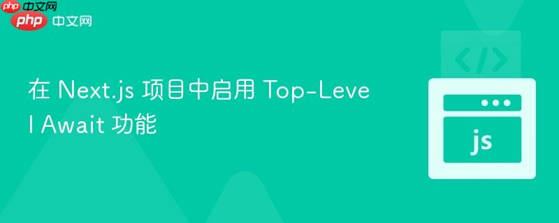 在 Next.js 项目中启用 Top-Level Await 功能