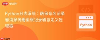 Python日志系统：确保命名记录器消息传播至根记录器自定义处理器