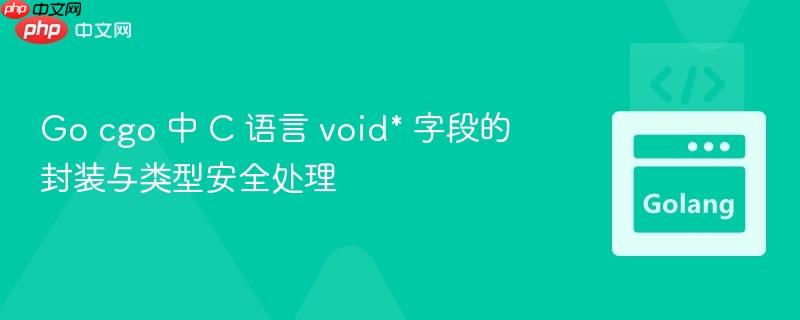 Go cgo 中 C 语言 void* 字段的封装与类型安全处理
