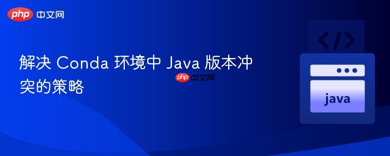 解决 Conda 环境中 Java 版本冲突的策略