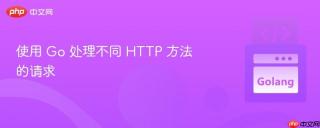 使用 Go 处理不同 HTTP 方法的请求