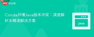 Conda环境Java版本冲突：深度解析与精准解决方案