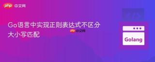 Go语言中实现正则表达式不区分大小写匹配