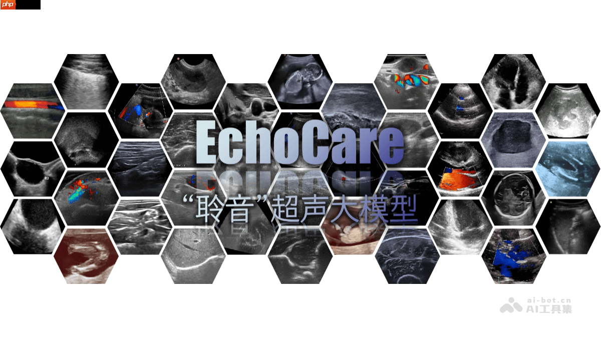 聆音EchoCare— 香港中科院推出的超声大模型