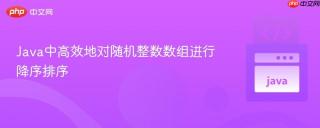 Java中高效地对随机整数数组进行降序排序