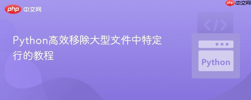 Python高效移除大型文件中特定行的教程