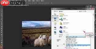 PS如何设置照片冷却滤镜效果