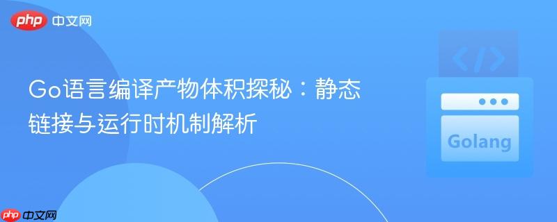 Go语言编译产物体积探秘:静态链接与运行时机制解析