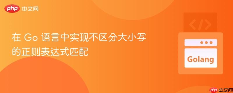 在 Go 语言中实现不区分大小写的正则表达式匹配