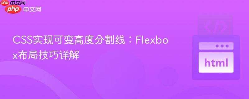 CSS实现可变高度分割线：Flexbox布局技巧详解