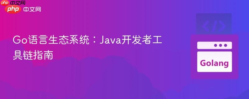 Go语言生态系统:Java开发者工具链指南