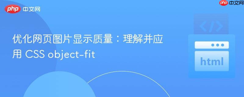 优化网页图片显示质量：理解并应用 CSS object-fit