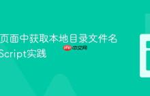 在Web页面中获取本地目录文件名的JavaScript实践