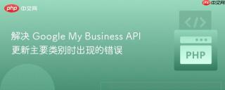 解决 Google My Business API 更新主要类别时出现的错误