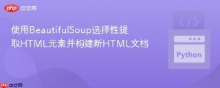 使用BeautifulSoup选择性提取HTML元素并构建新HTML文档