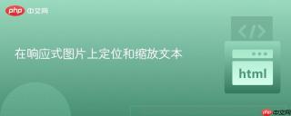 在响应式图片上定位和缩放文本