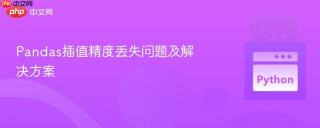 Pandas插值精度丢失问题及解决方案