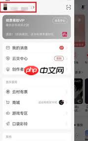 网易云音乐怎么看一首歌的播放量