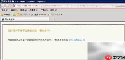 网站安全狗V2.4主动防护