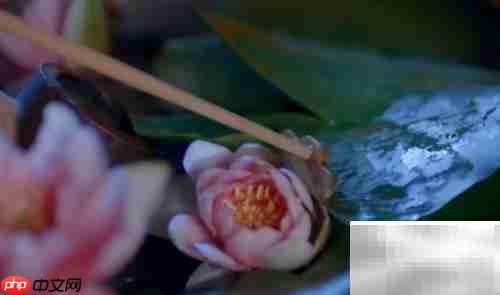 晨脂是什么?有何益处