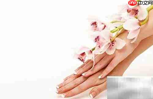 晨脂是什么?有何益处