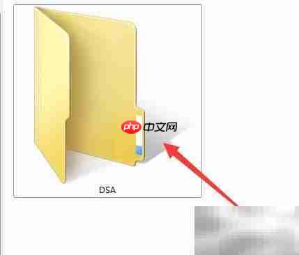 DSA电子眼升级预警系统