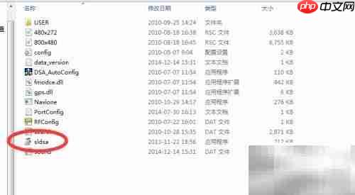 DSA电子眼升级预警系统
